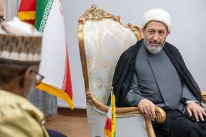 «نیجر» در مسیر تقویت تمدن نوین اسلامی همیار «ایران» است