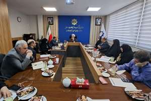 نقش بانوان در توسعه روابط فرهنگی با آفریقا بررسی شد